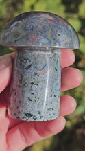 Load and play video in Gallery viewer, Ocean Jasper Mushroom #1
