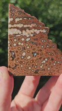Load and play video in Gallery viewer, River Jasper Slab #1
