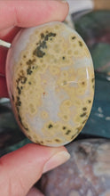 Load and play video in Gallery viewer, Ocean Jasper Palm Stone #11
