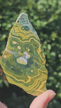 Load and play video in Gallery viewer, Ocean Jasper Slab #3
