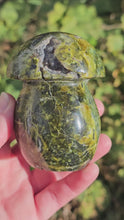 Load and play video in Gallery viewer, Green Opal Mushroom
