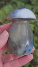 Load and play video in Gallery viewer, Orca Agate Mushroom
