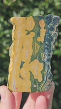 Load and play video in Gallery viewer, Ocean Jasper Slab #5
