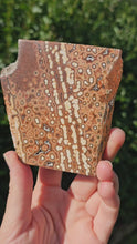 Load and play video in Gallery viewer, River Jasper Slab #2
