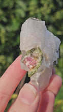 Load and play video in Gallery viewer, Watermelon Tourmaline in Quartz
