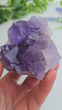 Load and play video in Gallery viewer, Berbes Fluorite
