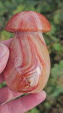 Load and play video in Gallery viewer, Carnelian Mushroom
