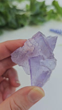 Load and play video in Gallery viewer, Berbes Fluorite
