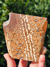 Load image into Gallery viewer, River Jasper Slab #2
