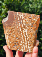 River Jasper Slab #2