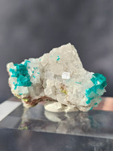 Load image into Gallery viewer, Dioptase (with Calcite) #1
