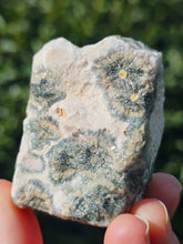 Load image into Gallery viewer, Ocean Jasper Slab #4
