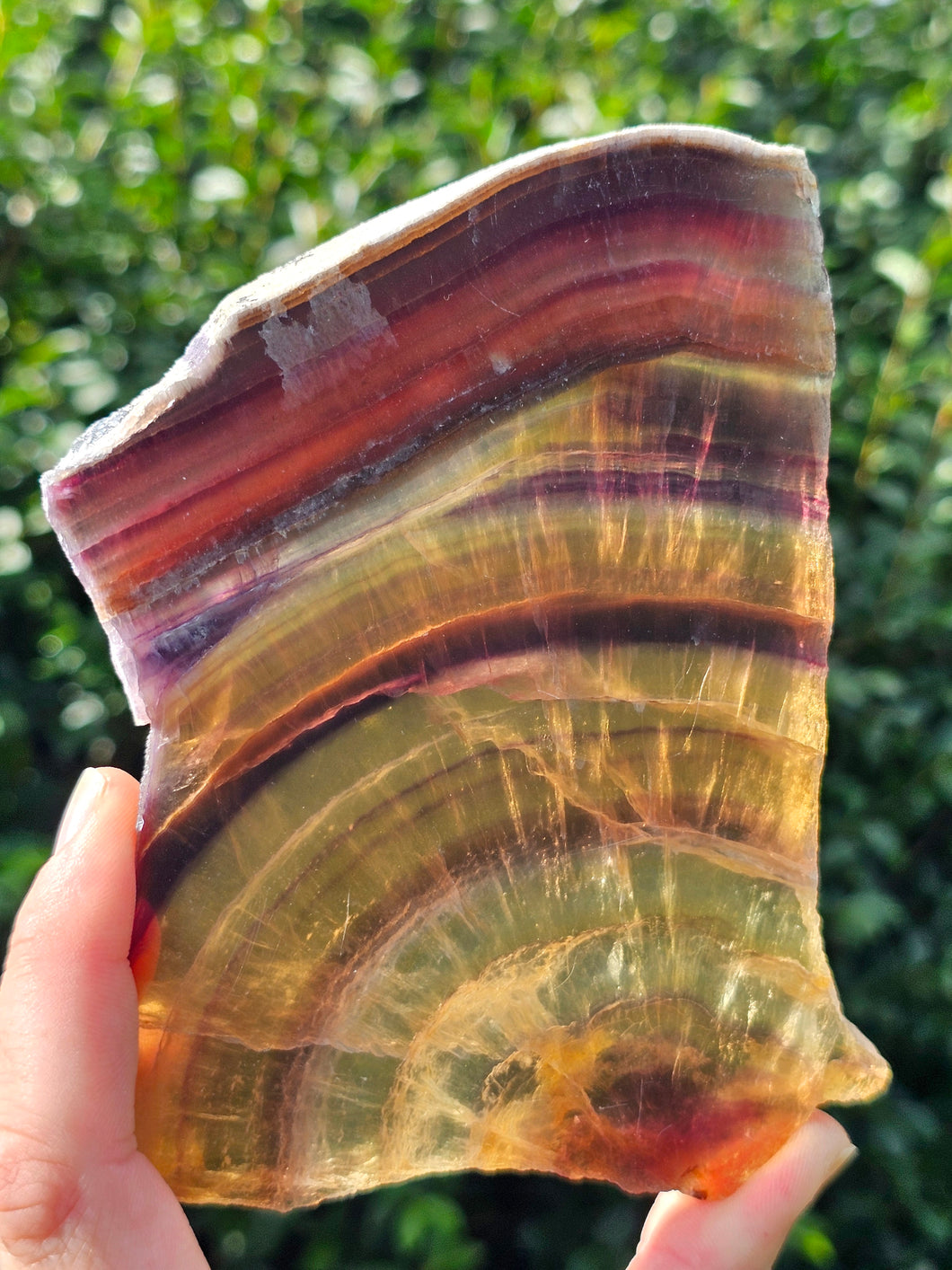 Yellow and Purple Fluorite Slab #1