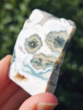 Load image into Gallery viewer, Ocean Jasper Slab #4
