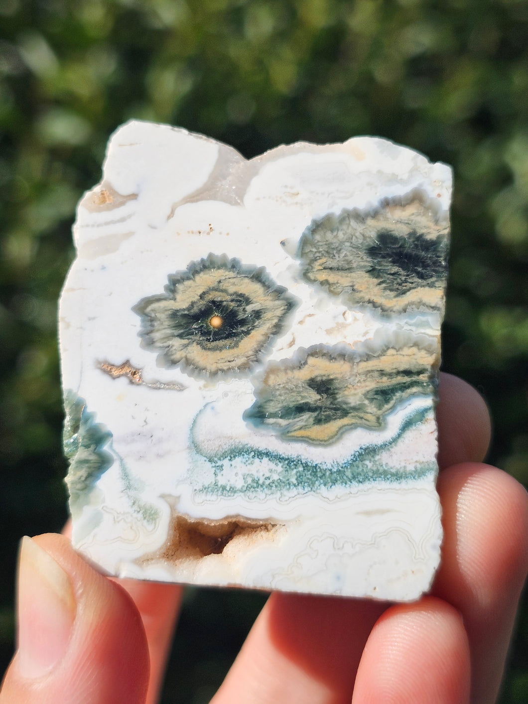 Ocean Jasper Slab #4