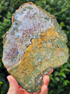 River Jasper Slab #5
