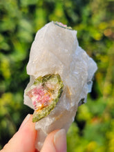 Load image into Gallery viewer, Watermelon Tourmaline in Quartz
