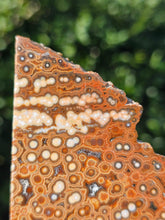 Load image into Gallery viewer, River Jasper Slab #1
