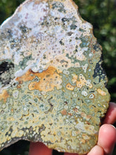 Load image into Gallery viewer, River Jasper Slab #4
