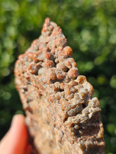 Load image into Gallery viewer, River Jasper Slab #3
