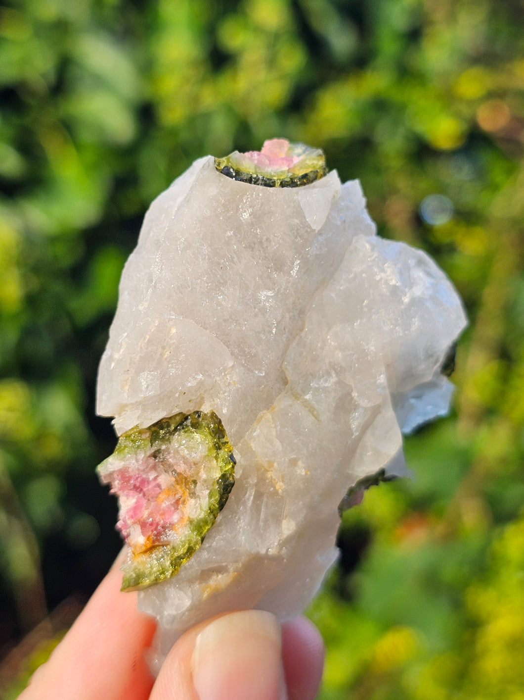 Watermelon Tourmaline in Quartz
