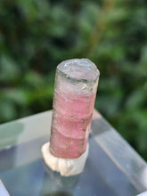 Load image into Gallery viewer, Watermelon Tourmaline
