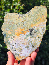 Load image into Gallery viewer, River Jasper Slab #4
