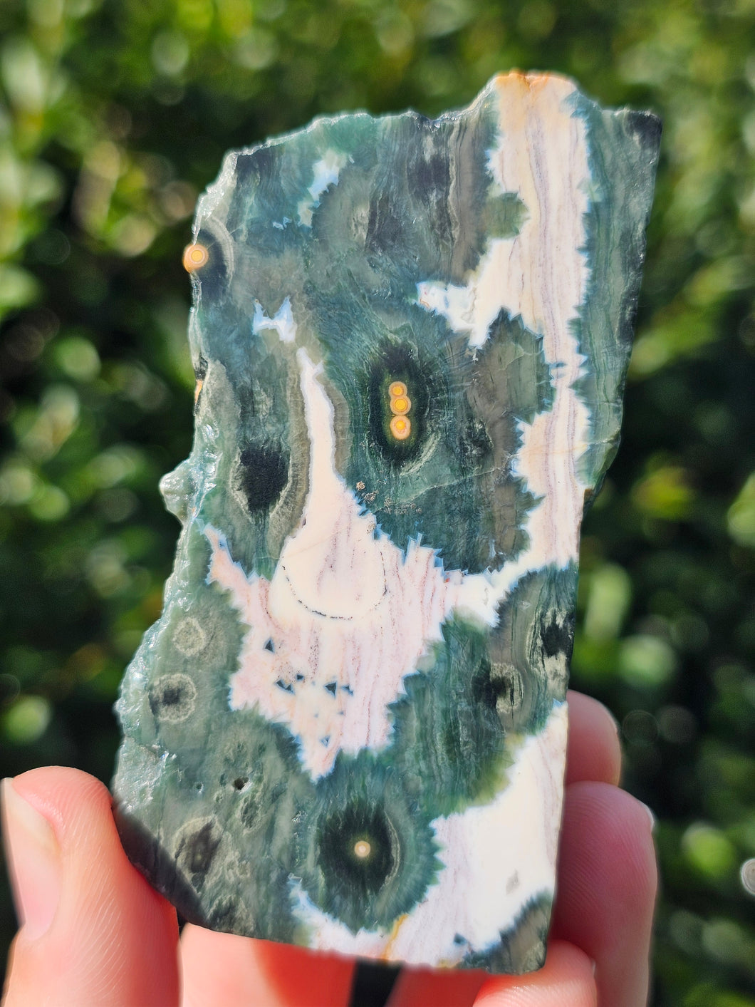 Ocean Jasper Slab #2