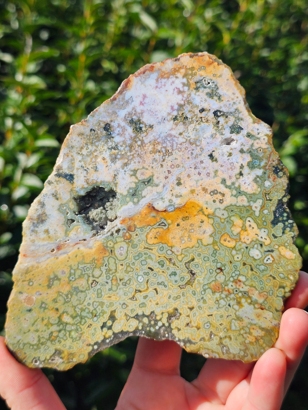 River Jasper Slab #4