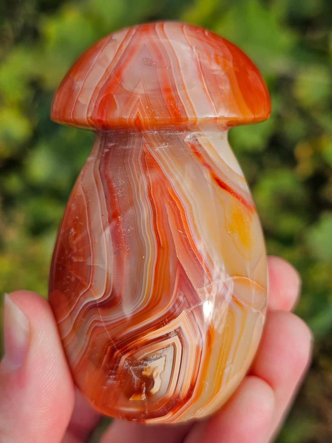 Carnelian Mushroom