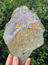 Load image into Gallery viewer, River Jasper Slab #6
