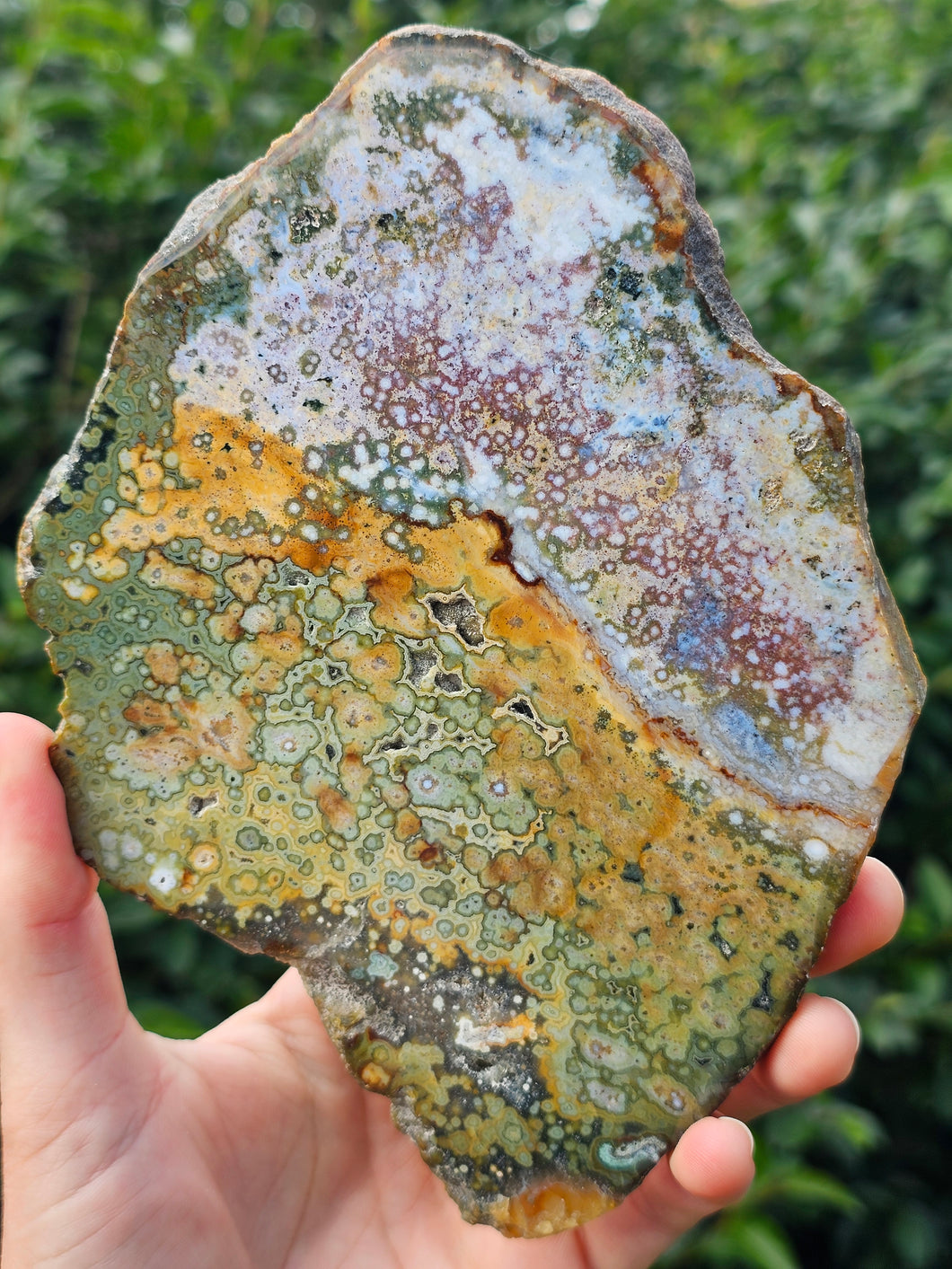 River Jasper Slab #6
