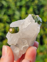 Load image into Gallery viewer, Watermelon Tourmaline in Quartz
