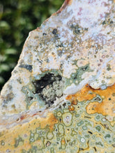 Load image into Gallery viewer, River Jasper Slab #4
