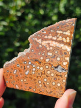 Load image into Gallery viewer, River Jasper Slab #1
