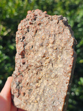 Load image into Gallery viewer, River Jasper Slab #3
