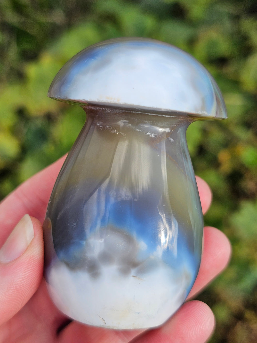 Orca Agate Mushroom