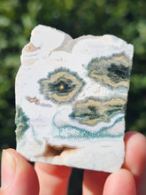 Load image into Gallery viewer, Ocean Jasper Slab #4
