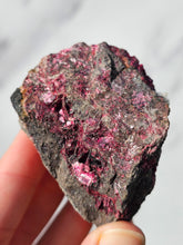 Load image into Gallery viewer, Erythrite #1

