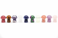 Assorted Mini Mushrooms