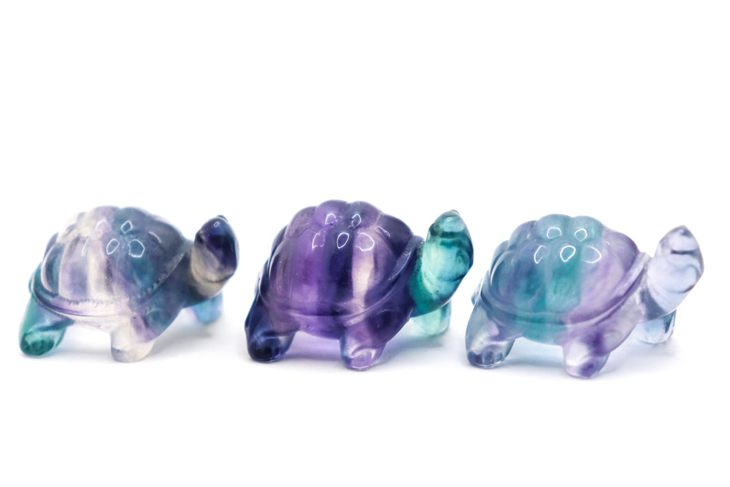 Fluorite Tortoise